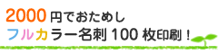 2000円でおためしﾌﾙｶﾗｰ名刺100枚印刷！
